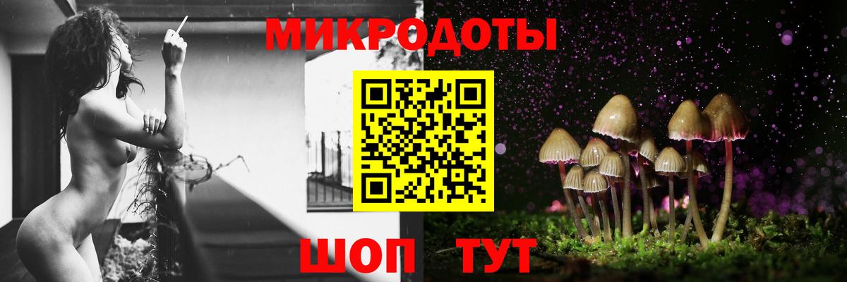 Галлюциногенные грибы Psilocybe Мытищи
